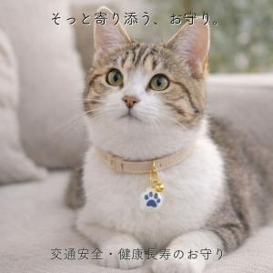ペット お守り 犬 猫 健康長寿 交通安全 肉...の詳細画像5