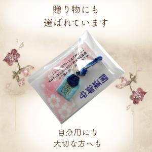 開運 梅結び お守り 水引飾り×加賀紐ストラッ...の詳細画像5
