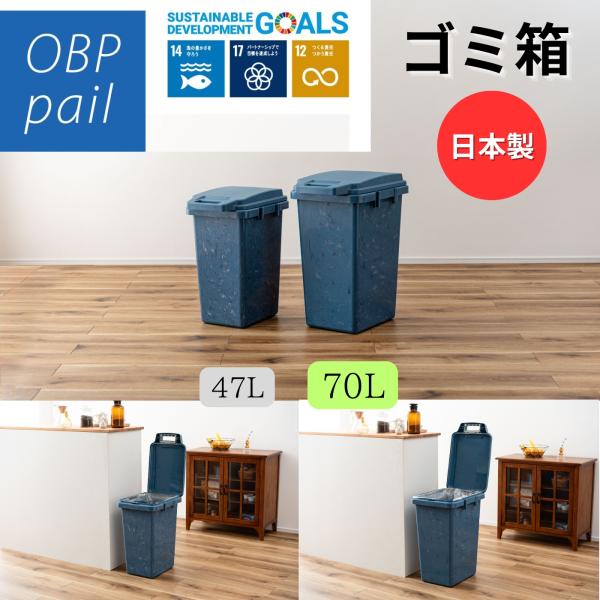ゴミ箱 ごみ箱 ダストボックス ふた付き 蓋付き 47L 70L 分別 キッチン 台所 リビング 大...