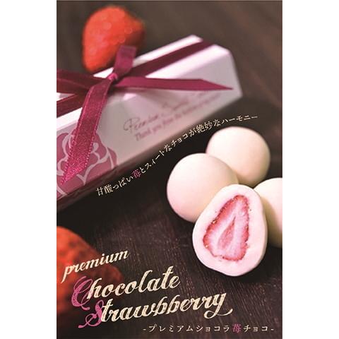 フリーズドライ苺チョコセット 小分け袋有 プチギフト バレンタイン トリュフチョコ詰め合わせ チョコ...