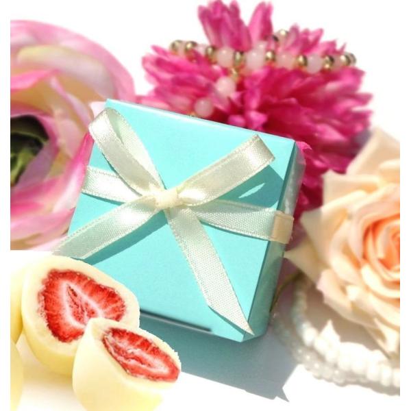 フリーズドライ苺チョコ プチギフト 割引 安い お菓子 退職 お礼 結婚式 バレンタイン