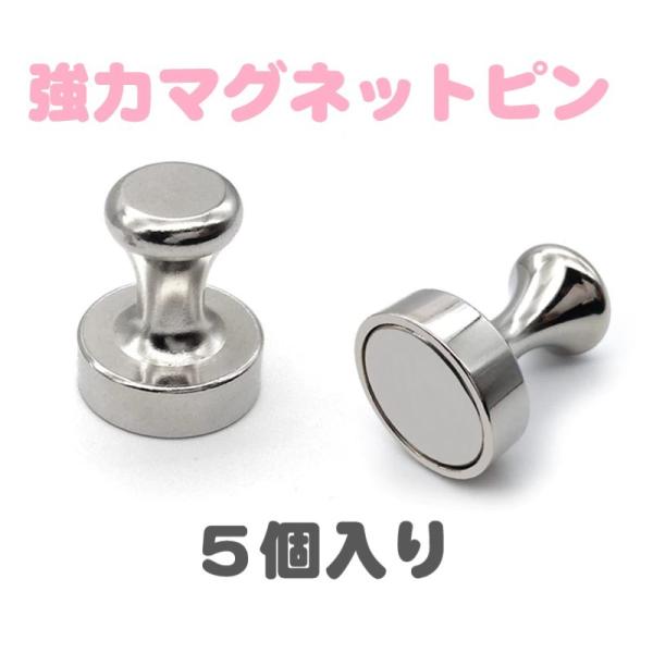 強力 マグネットピン　５個入　キッチンに　コスパ最高
