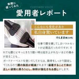 【公式】 ガードナーベルト 骨盤ベルト 腰楽ベ...の詳細画像2