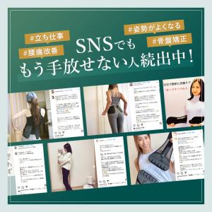 【公式】 ガードナーベルト 骨盤ベルト 腰楽ベ...の詳細画像4