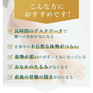【公式】 ガードナーベルト 骨盤ベルト 腰楽ベ...の詳細画像5