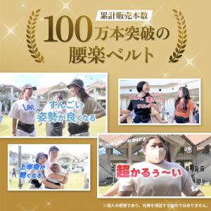 ガードナーベルトホワイトの詳細画像2