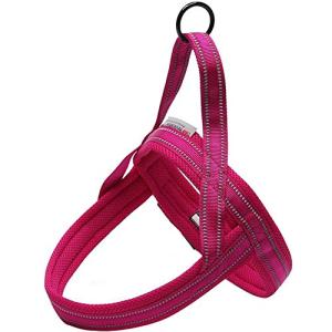 IKENOKOI犬用ハーネス 犬用胴輪 3M反射材料 通気性高い 調節可能 お散歩 お出かけ 小型犬 中型犬 大型犬に向け