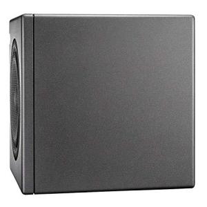 【値下げ⭐︎新品同様】Neumann KH750 DSP サブウーファー ノイマン 値下げ⭐︎新品同様】Neumann KH750 DSP サブウーファー