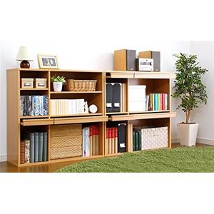 魅せて隠す収納ディスプレイラック2個セット扉付きおしゃれチェスト 本棚リビング収納 インテリア家具