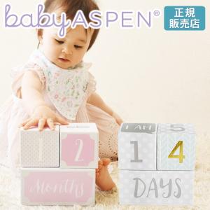 ベビーアスペン マイルストーン エイジブロック BABY ASPEN (ベビーシャワー 出産祝い 女の子 男の子｜gudezacom