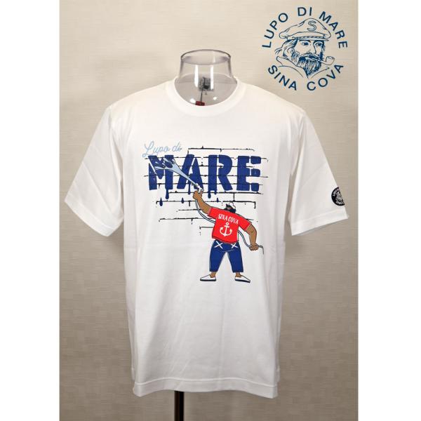 ★２０２５ 春夏　新作・ ３０%OFF・シナコバ【*001*】半袖Tシャツ＜Lサイズ・LLサイズ＞-...