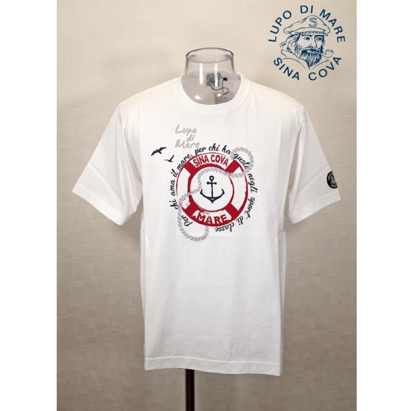 ★２０２５ 春夏　新作・３０%OFF・ シナコバ【*001*】半袖Tシャツ＜Lサイズ・LLサイズ＞-...