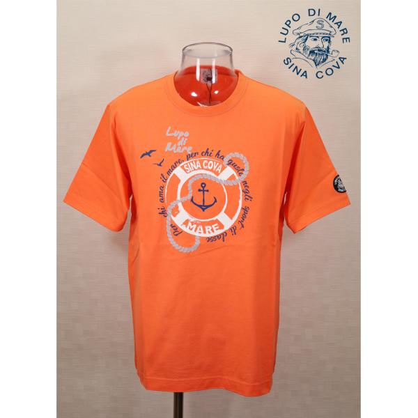 ★２０２５ 春夏　新作 ・３０%OFF・シナコバ【*001*】半袖Tシャツ＜Lサイズ・LLサイズ＞-...