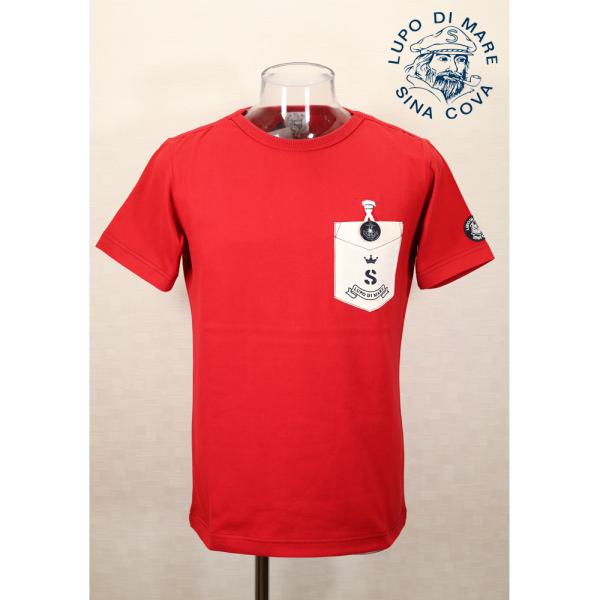 ★シナコバ【*001*】【*BIG SALE*】50％OFF・春夏半袖ボートネックＴシャツ＜Mサイズ...