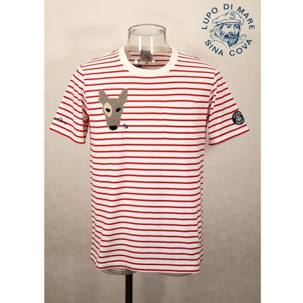 ★シナコバ【*001*】【*BIG SALE*】50%OFF・春夏半袖Ｔシャツ＜Ｍサイズ・LLサイズ...