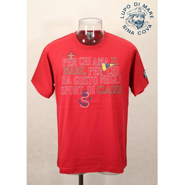 ★シナコバ【*001*】【*BIG SALE*】50％OFF・春夏半袖Ｔシャツ＜Mサイズ・Lサイズ・...