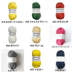 Tシャツヤーン SmooTee100gの詳細画像3