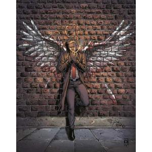 (25％オフの特別価格でお取り寄せ)JOHN CONSTANTINE HELLBLAZER RISE...