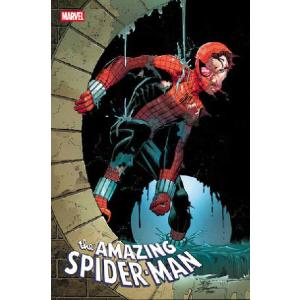 AMAZING SPIDER-MAN #21