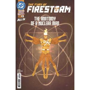 FURY OF FIRESTORM #2 (OF 6)