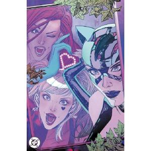 GOTHAM CITY SIRENS UNFIT...の商品画像