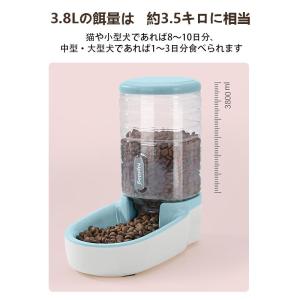 給餌器 給水器 ペット 自動的 猫用 多頭飼い...の詳細画像4