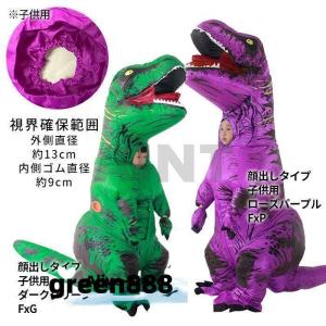 1位獲得 ティラノサウルス レース 顔出し 恐...の詳細画像2