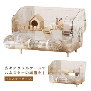 ハムスターケージ 大型 全面クリア 大きい 透...の詳細画像5