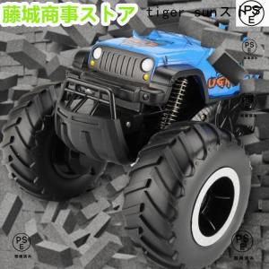 ラジコンカー 水陸両用 RCカー リモコンカー...の詳細画像1