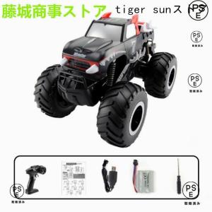 ラジコンカー 水陸両用 RCカー リモコンカー...の詳細画像4