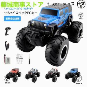 ラジコンカー 水陸両用 RCカー リモコンカー...の詳細画像5
