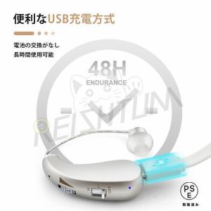 補聴器 充電式 難聴 デジタル補聴器の詳細画像4