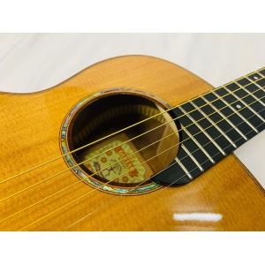 aNueNue Bird Guitar aNN...の詳細画像2