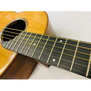 aNueNue Bird Guitar aNN...の詳細画像4