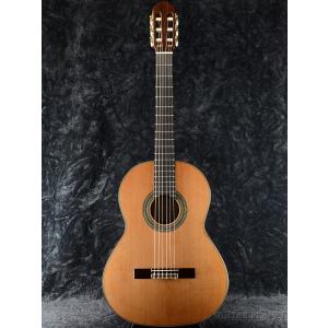 ARIA（アリア） ARIA A-100S-63 松/ローズウッド 新品《クラシック