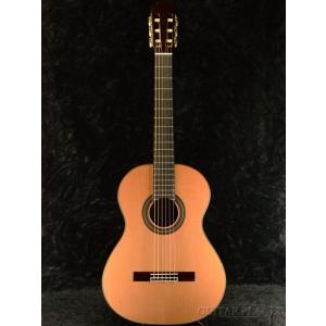 Aria A-50C Natural クラシックギター【ギグバック付き