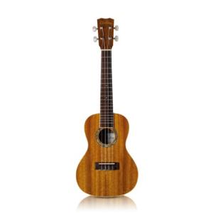 ASTURIAS SOPRANO CUSTUM17 日本製ウクレレ アストリアス ASTURIAS SOPRANO CUSTUM17 日本製ウクレレ アストリアス - メルカリ