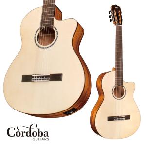 aNueNue Bird Guitar Series aNN-MN14E エレガットモデル〈アヌエヌエ