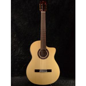 Cordoba / Fusion 12 シナモン・バースト エレガット 新品《エレガット