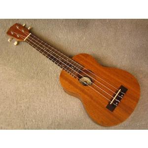 Big Island EBU-SMP-N/EB ウクレレベース 《ウクレレ》 : ギター