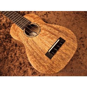 王 小迪 王小迪臻品鳳眼竹弓 ERB-202W │ 二胡弓 : ギタープラネット