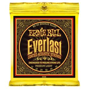ERNIE BALL 13-56 #2554 Everlast Coated MEDIUM｜guitarplanet