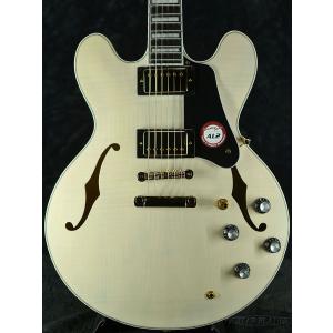 Fender（フェンダー） Fender MAMI STRATOCASTER《SCANDAL》《エレキ