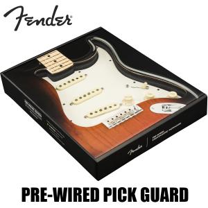 Fender Pre-Wired Strat Pickguard Custom Shop Fat 50's SSS -Parchment / 11 Hole PG-│ リプレイスメントパーツ｜guitarplanet