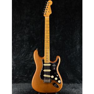 カルロジョルダーノ VL-1 ビオラセット セミハードケース 弓 松脂付