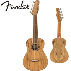 Fender ZUMA EXOTIC CONCERT UKULELE -Natural Spalted Maple- コンサートウクレレ｜guitarplanet