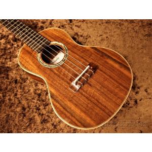 ハワイアンコア】Big Island KT-CTS《コンサートウクレレ》 : ギター