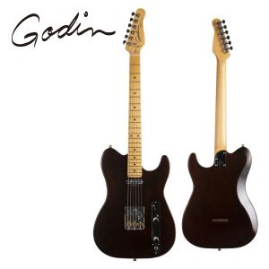 Godin Session HT -Trans Cream-《エレキギター》 : ギター Godin Session HT -Trans Cream-《エレキギター》 : ギター
