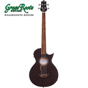 ESP GrassRoots G-AC-45 Tobacco Sunburst 《アコギ》 : ギター