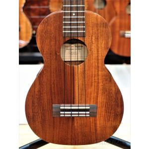 Cool Wind EU-200 GLD ゴールド (プラスチック製ユーフォニアム)(ご